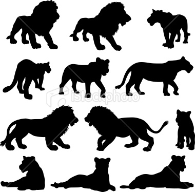 Lion Silhouette Vector