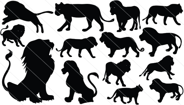 Lion Silhouette Vector