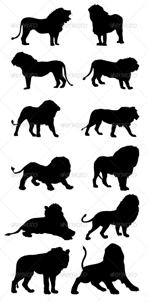 Lion Silhouette