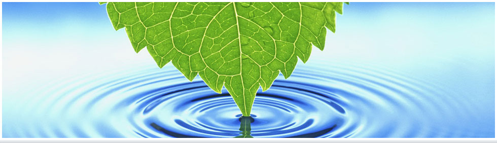 Newsletter Web Banner Design Newsletter Web Banner Design