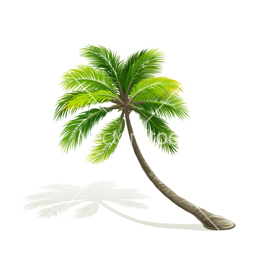 Palm Tree Vector Free