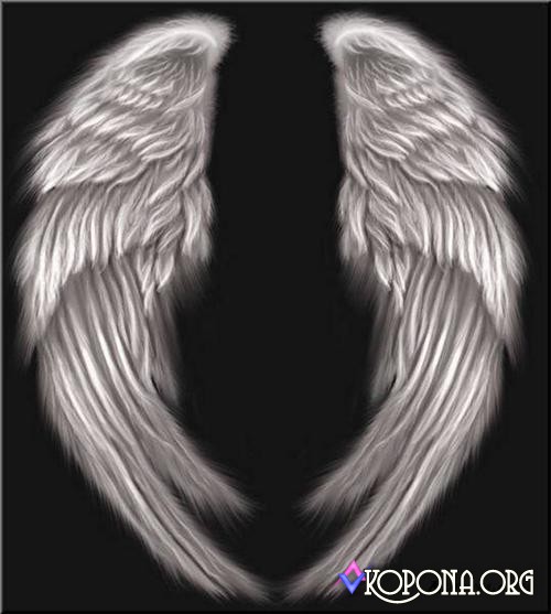 Photoshop Angel Wings Template