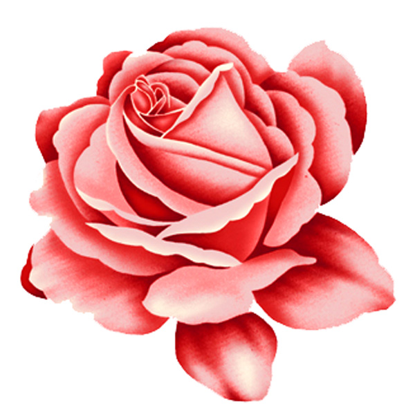 Pink Rose Tattoo Designs