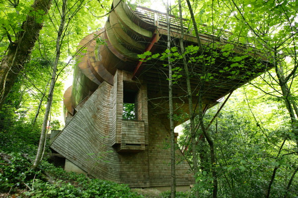 Portland Oregon Tree House