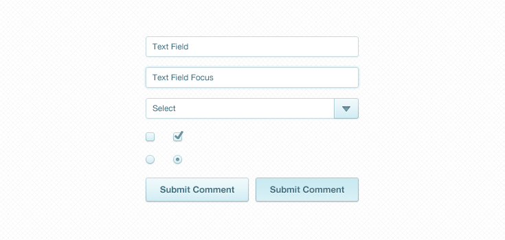 Radio Button Form