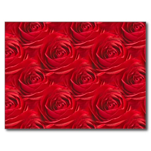 Red Rose Pattern