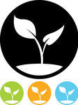 Seed Plant Vector Icon