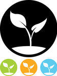 Seed Plant Vector Icon Seed Plant Vector Icon