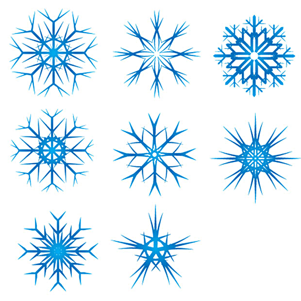 Snowflake Vector