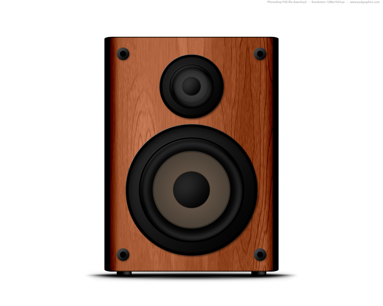 Speaker Icon