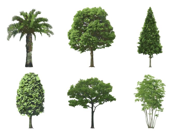 Tree Vector