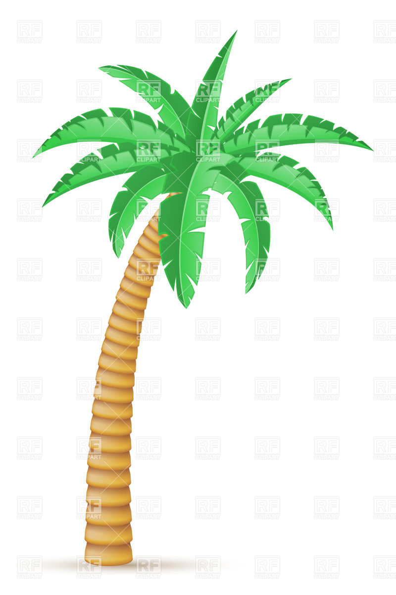 Tropical Palm Trees Clip Art