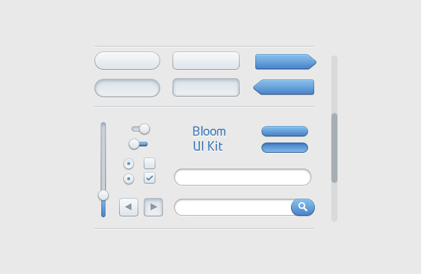 Web Form Radio Button UI