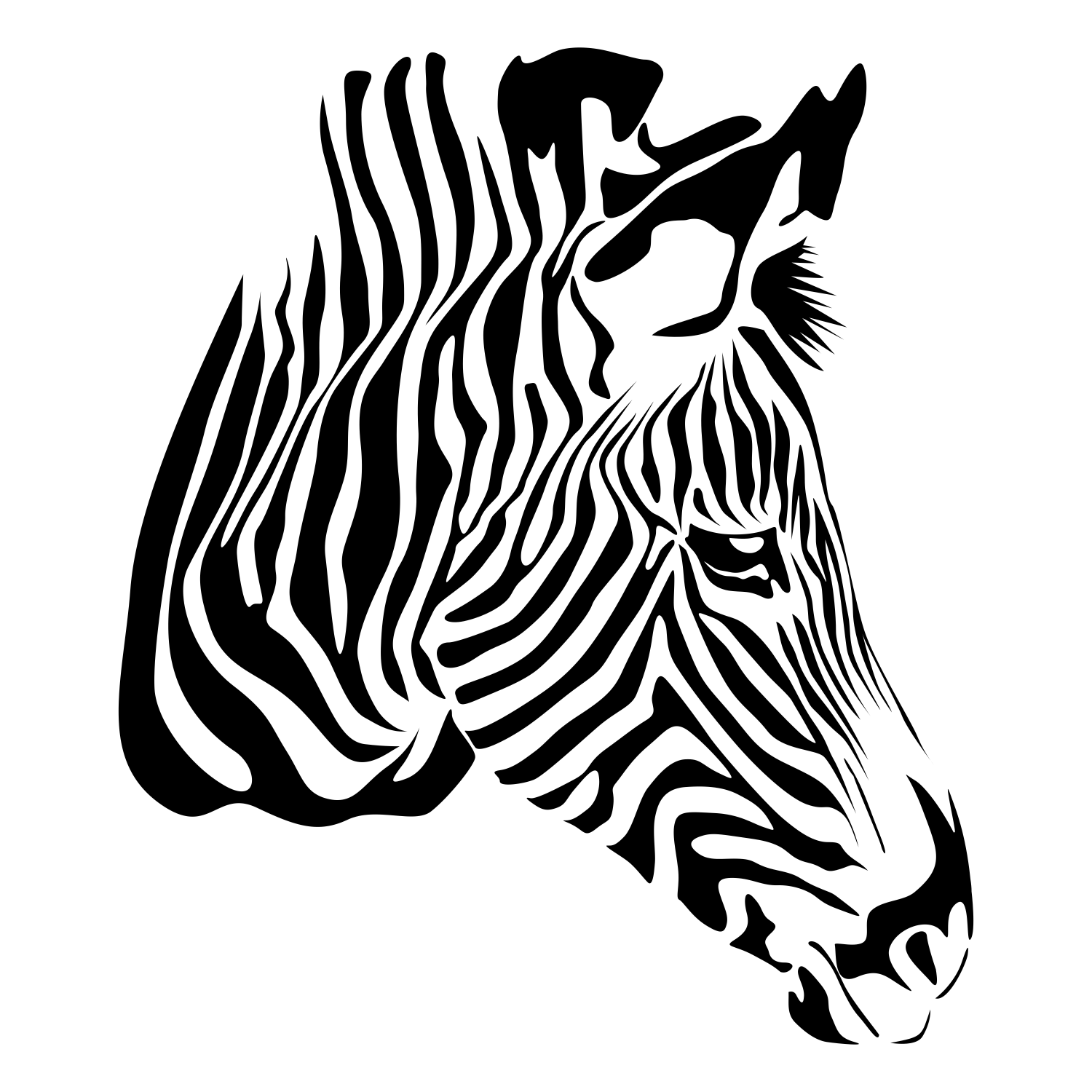 Zebra Vector