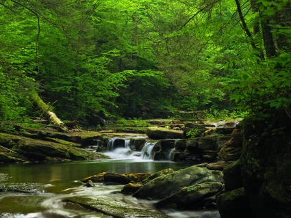 13 Fishing Creek PA State Game Land