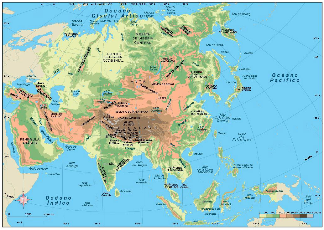 Asia Vector Map