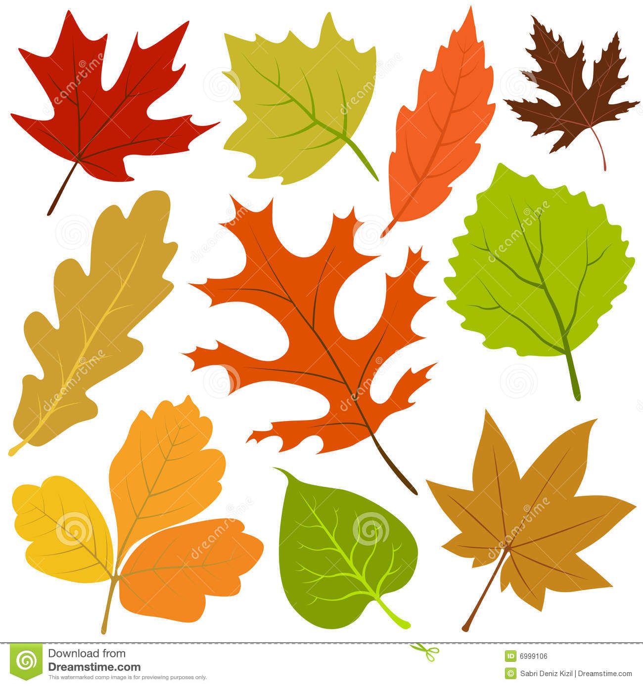 Autumn Leaves Vector