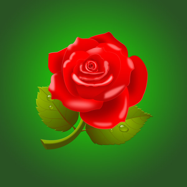 Beautiful Red Roses PSD