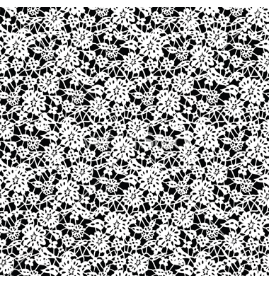 Black and White Lace Pattern