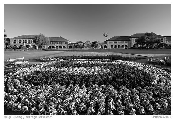 Black and White Stanford University