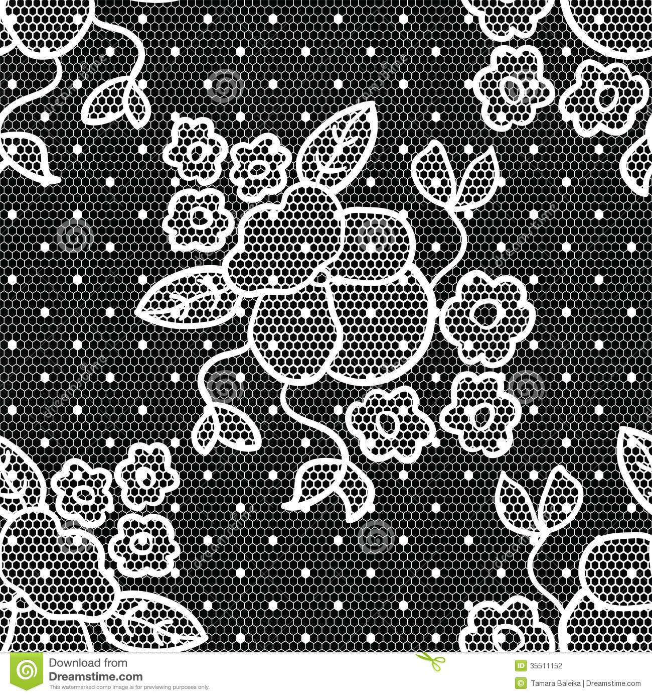 Black Lace Vector