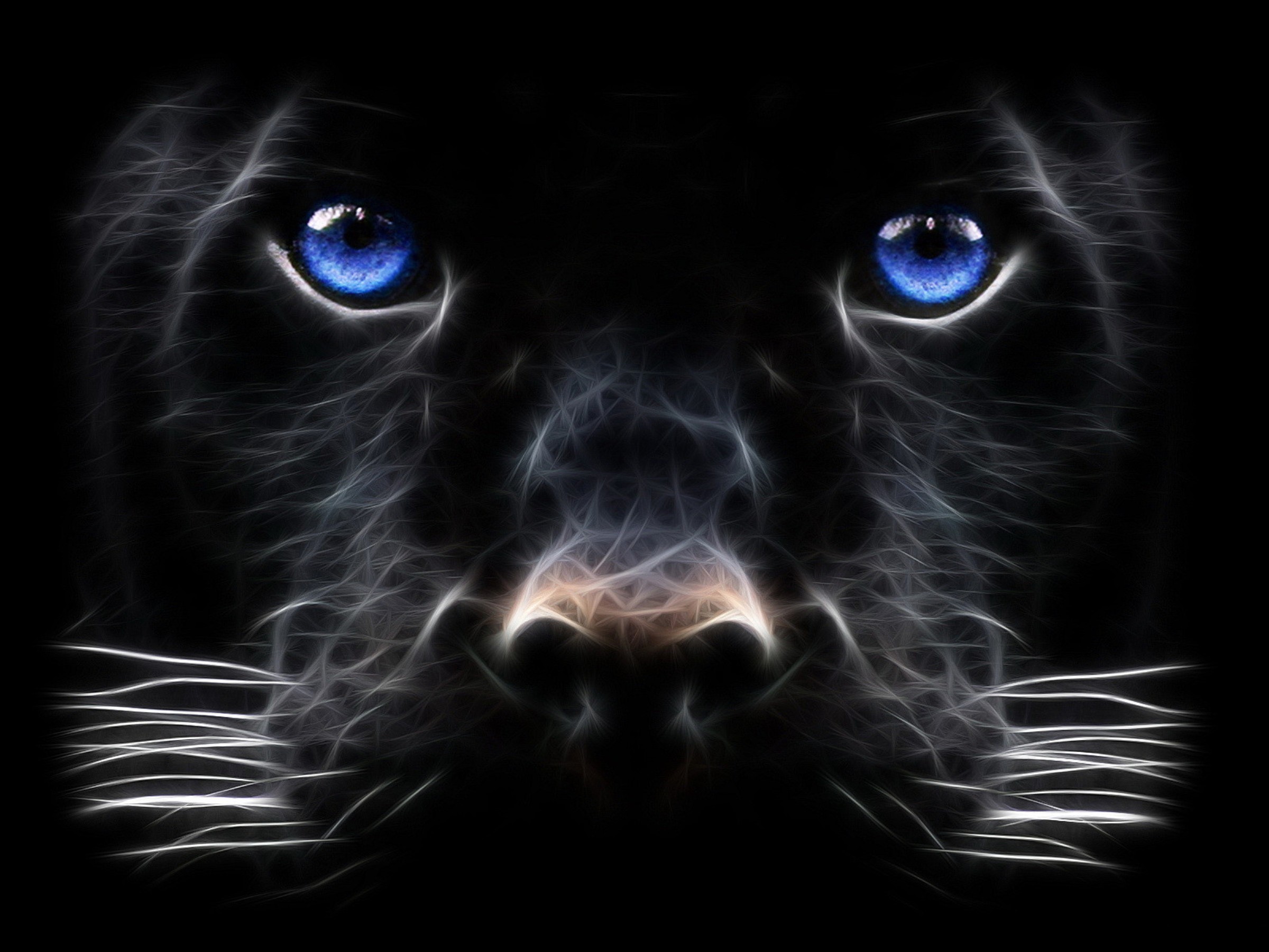 Black Panther Animal Desktop Wallpaper