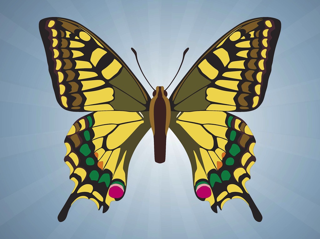 Butterfly Vector