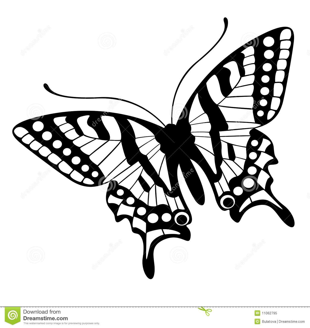 Butterfly Vector