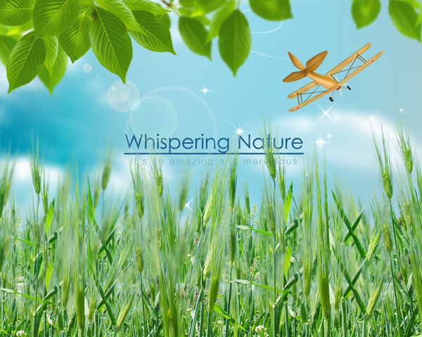 Cartoon Wheat Crop Cartoon Wheat Crop