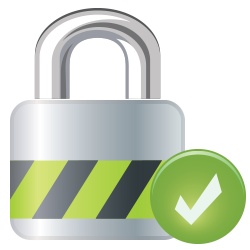 Check Security Lock Icon