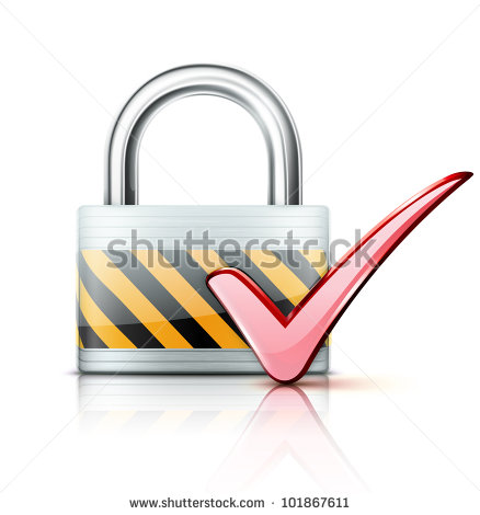 Check Security Lock Icon