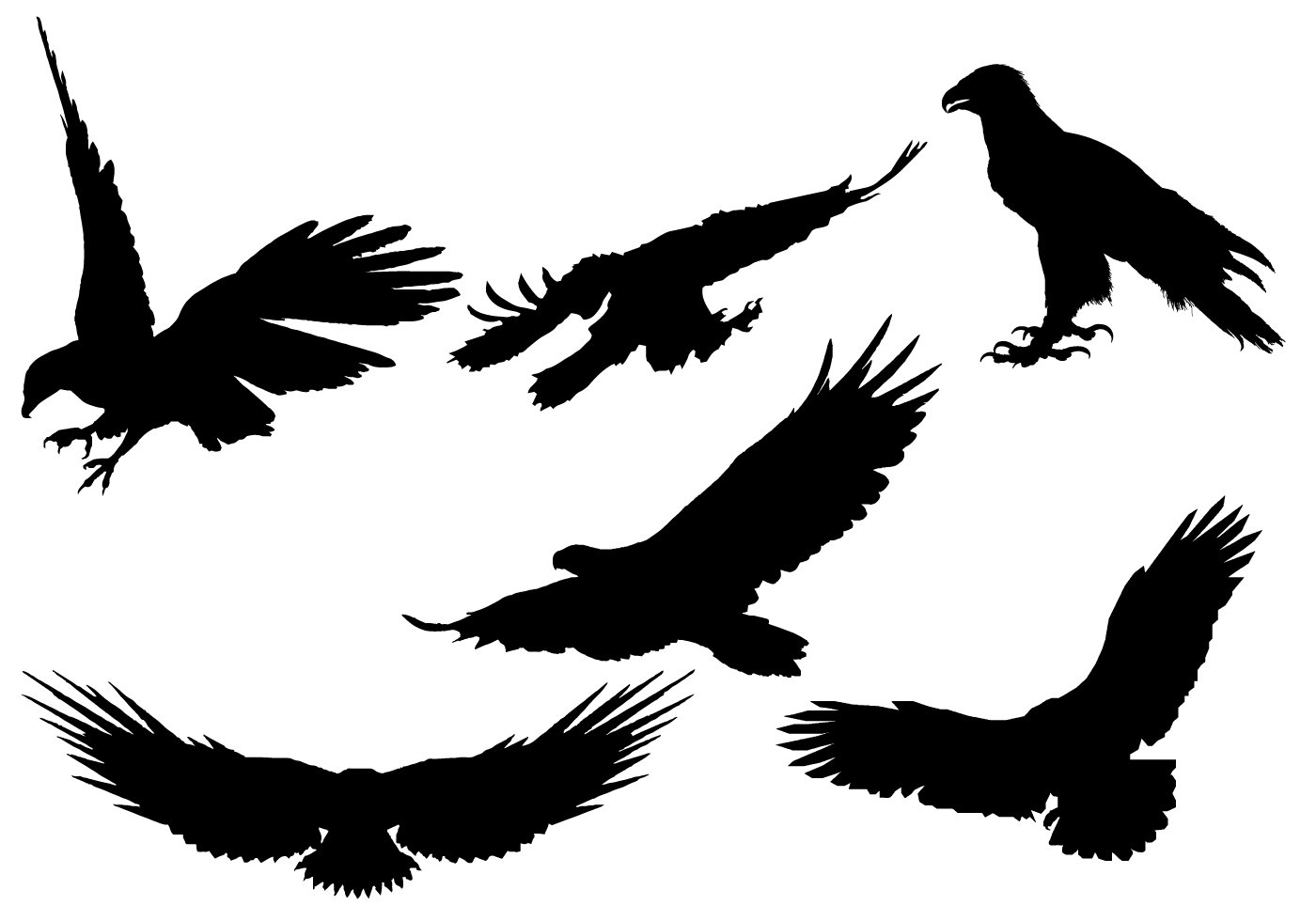 Eagle Silhouette Vector Free