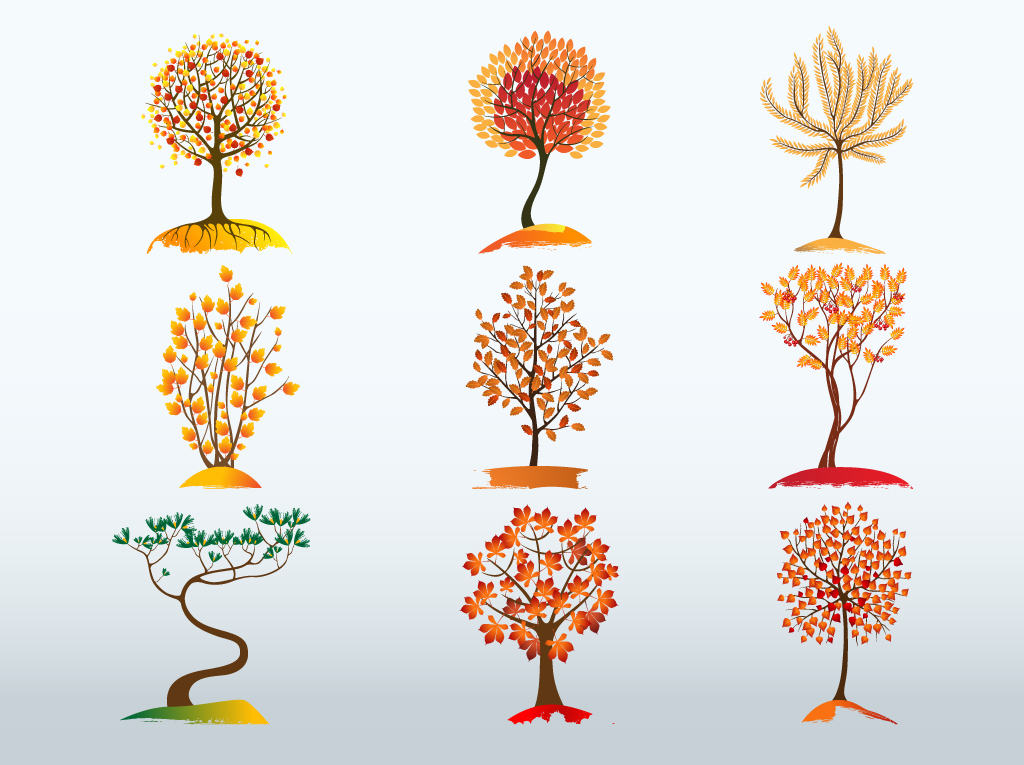 17 Fall Tree Vector Images