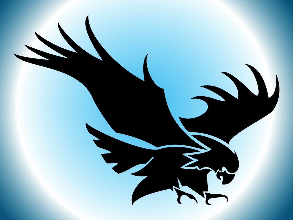 Flying Eagle Silhouette Flying Eagle Silhouette