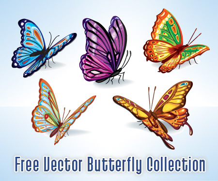 Free Butterfly Vector