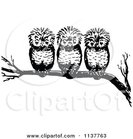 Free Owl Clip Art Black and White