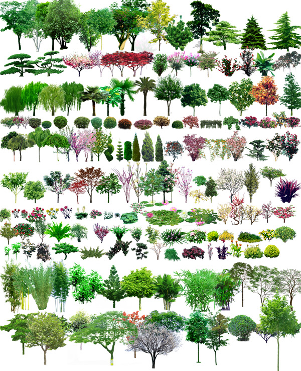 Free Shrub Brushes Photoshop