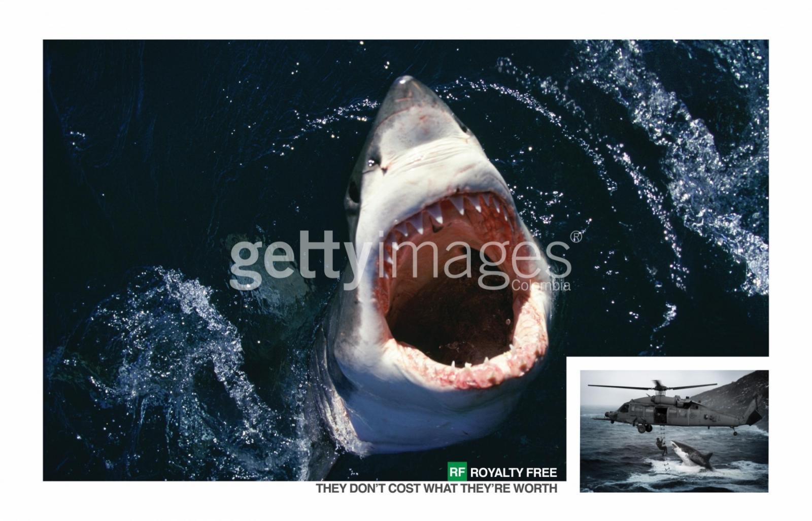 Getty Shark Images