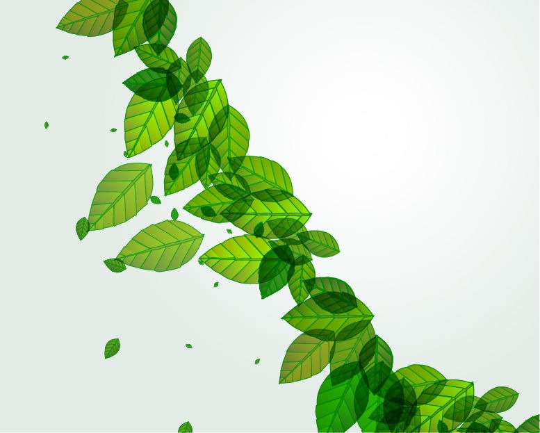 Green Leaves Vector