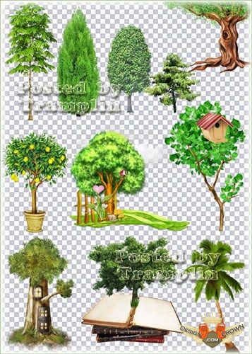 Green Plants and Trees Green Plants and Trees