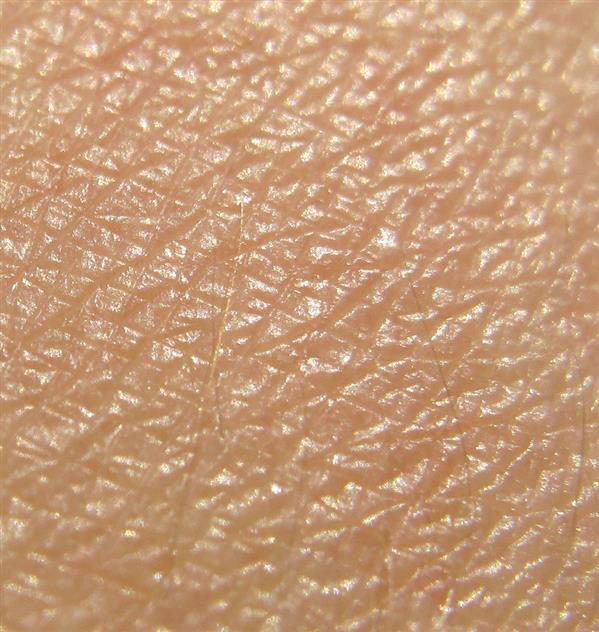 Human Skin Textures