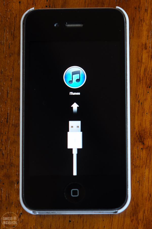 iTunes Icon iPhone 4S