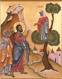Jesus and Zacchaeus Sycamore Tree
