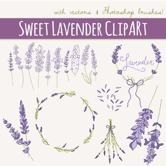 Lavender Sprig Clip Art Lavender Sprig Clip Art