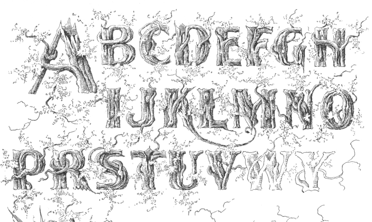 Leaf Script Font Alphabet