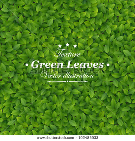 Leaf Texture Vector