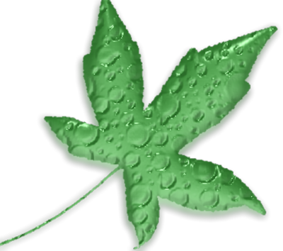 Marijuana Leaf PSD