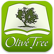 Olive Tree