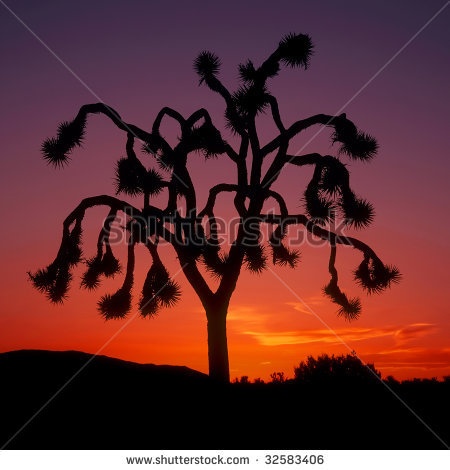 Orange Sunset Tree Silhouette