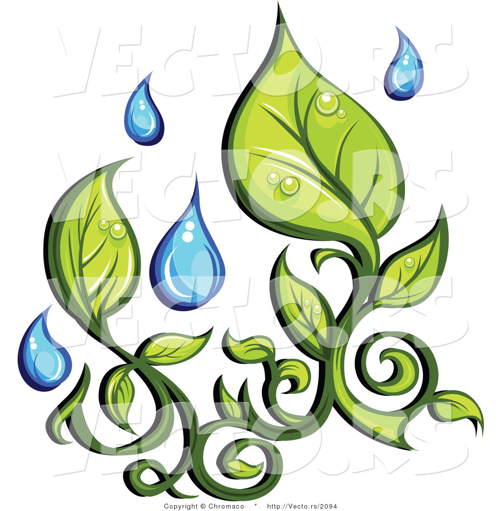 Organic Leaf Clip Art